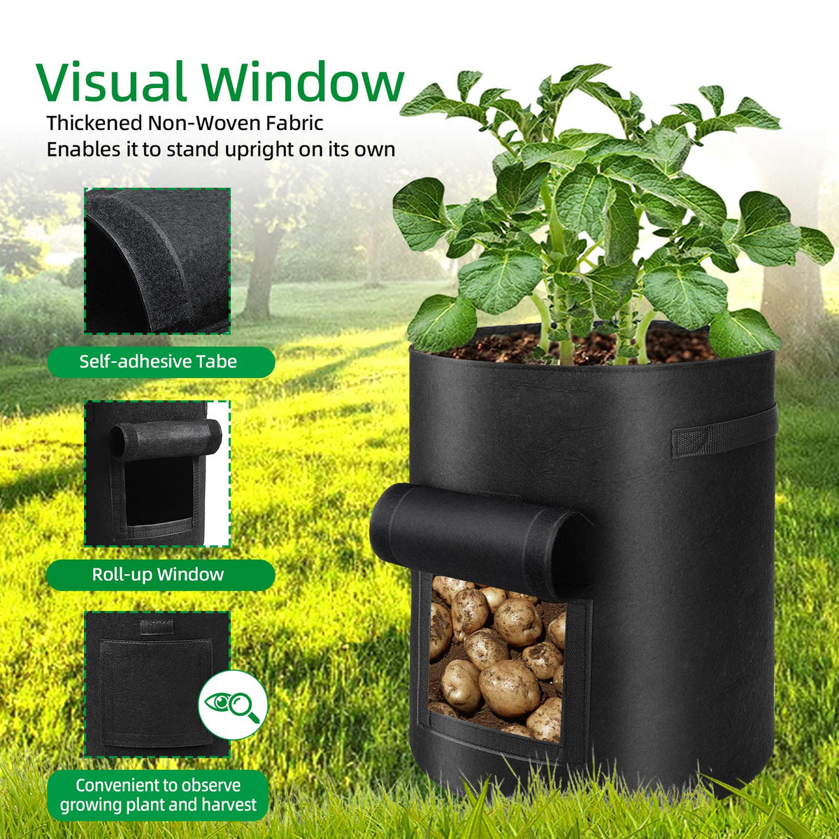BIJOKETTEN large-capacity planter supports generous harvests.