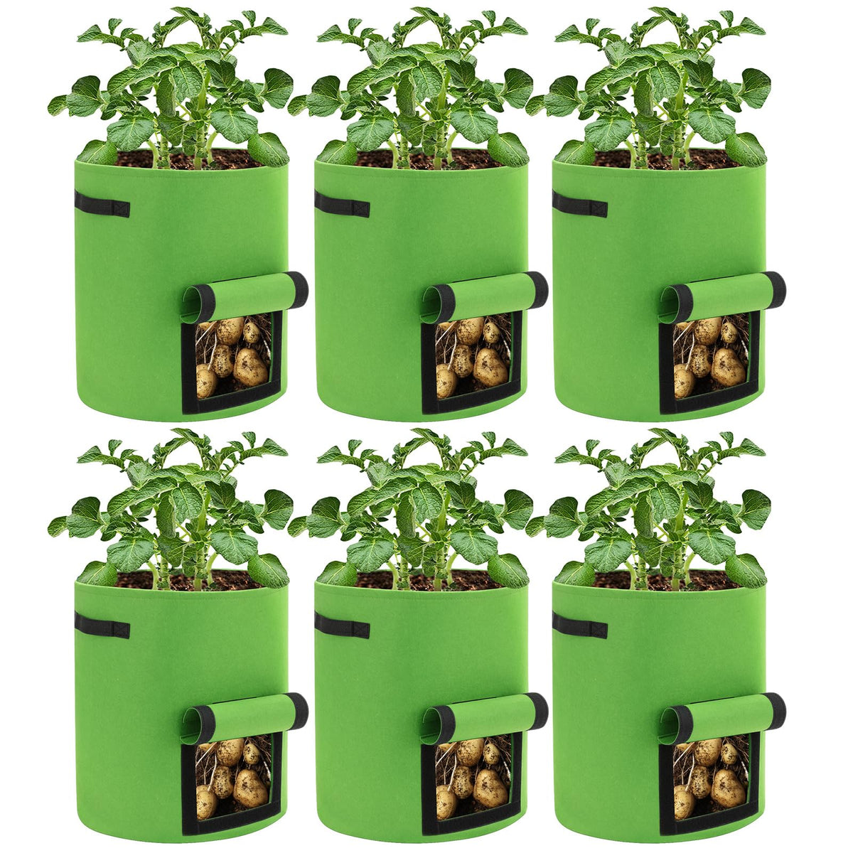 BIJOKETTEN view window grow bag shows growth and easy harvest