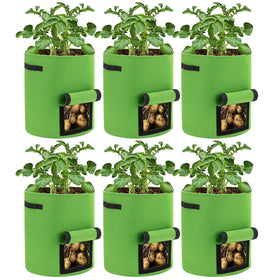 BIJOKETTEN view window grow bag shows growth and easy harvest