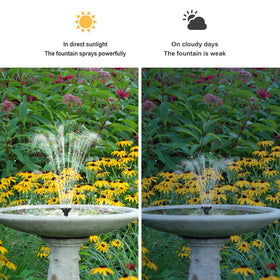 Biling dry-run protected pump auto-shuts off when water is low