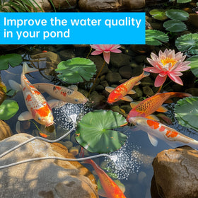 Biling night operation after sunset maintains oxygen for pond life.