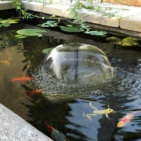 Biling pond kit suitable for ponds up to 1500 gallons with reliable performance.
