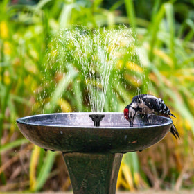 Biling sprinkler head option for bird baths and ponds
