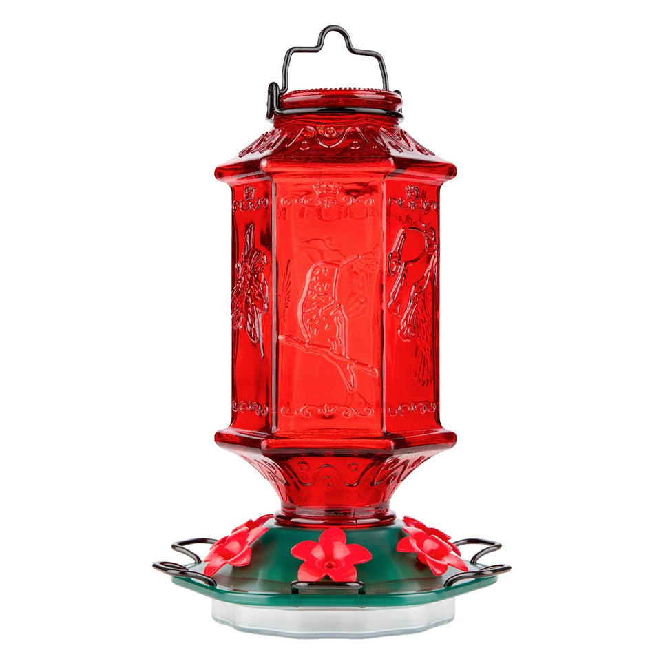 Billion Sky hummingbird feeder in red lantern bottle attracting nectar-loving birds