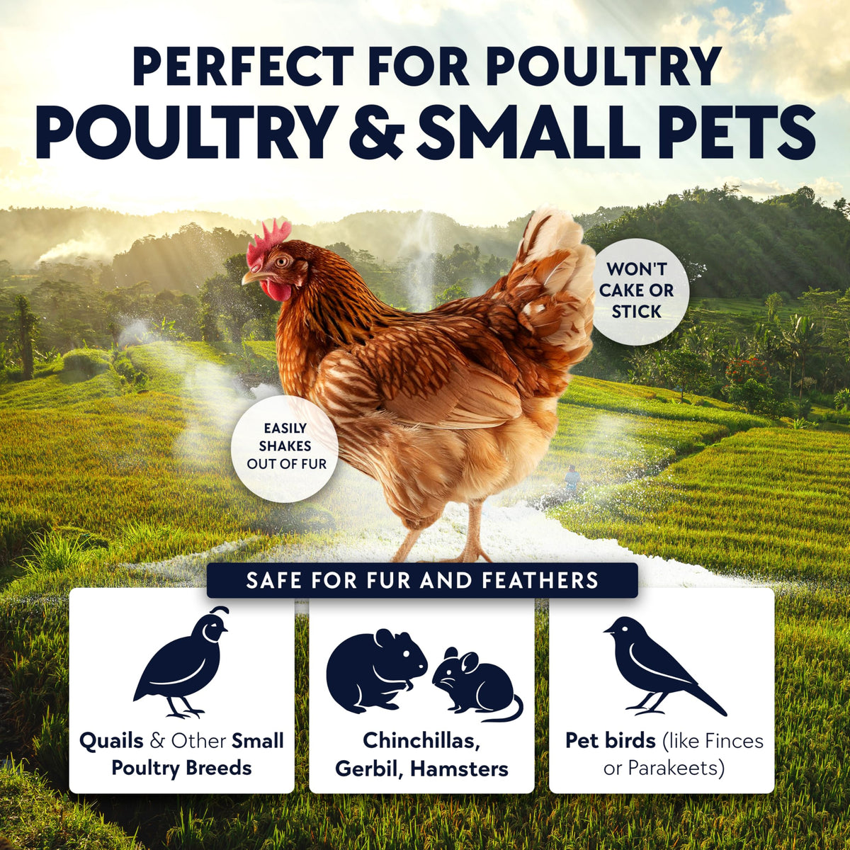 Chickie-Whiz dust bath in container for easy in-coop use.