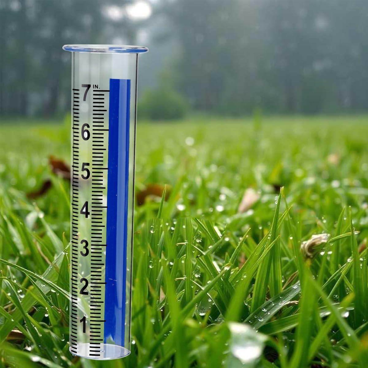 Garden-ready replacement tube helps monitor rainfall and prevent overwatering.