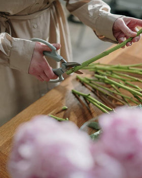 Binckin Flower Scissors versatile for fruits picking and flower trimming