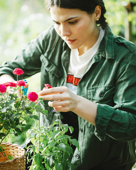 BINCKIN violet-handled scissors deliver smooth cutting for stems and bonsai
