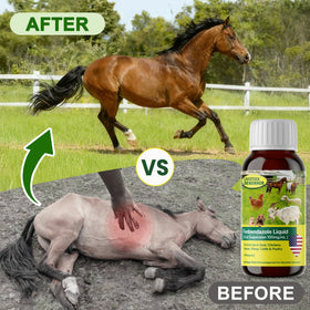 Bingbrofam Dewormer dosing cup illustrates simple mixing with water or feed.