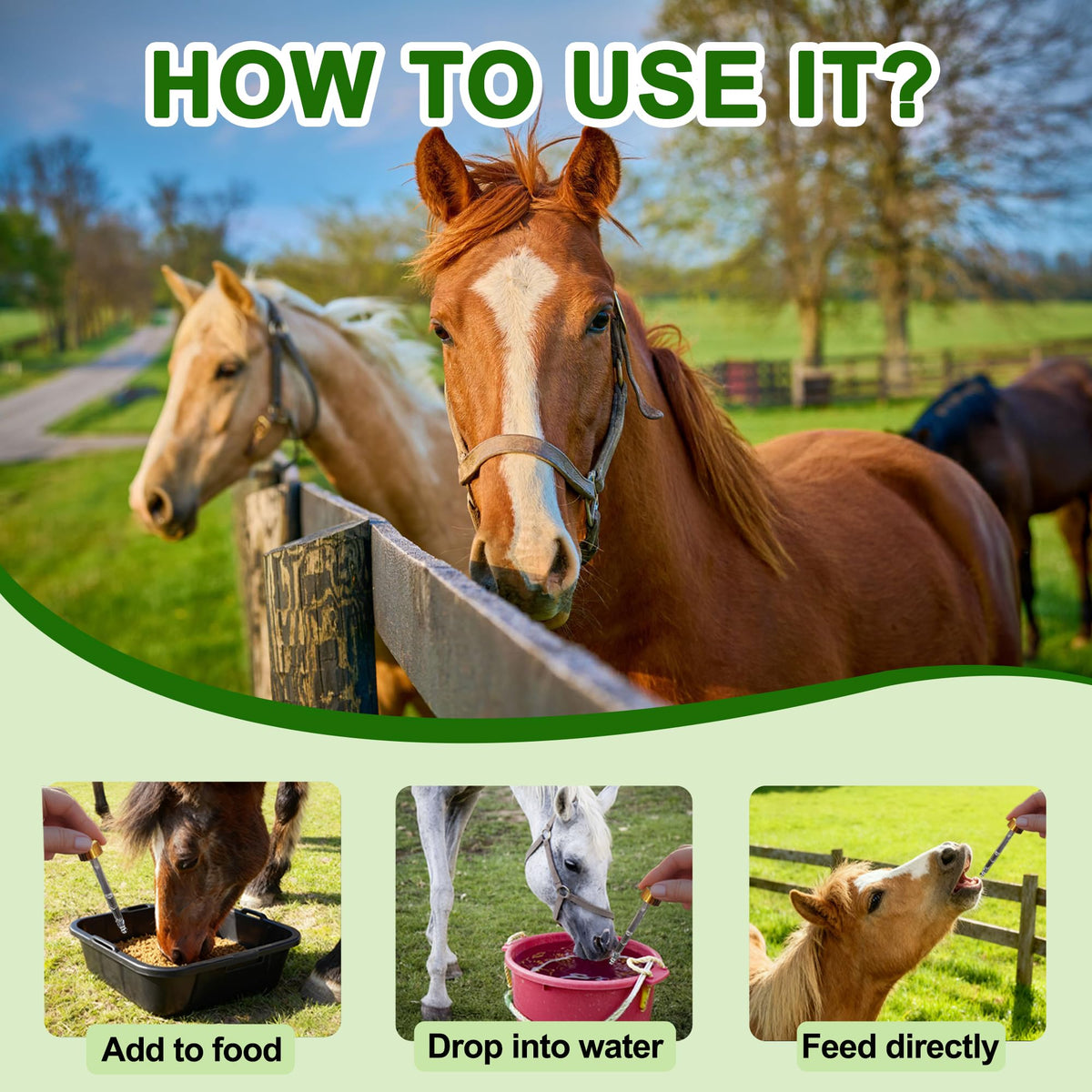 Bingbrofam Dewormer poultry-feeding scene highlights gentle administration.