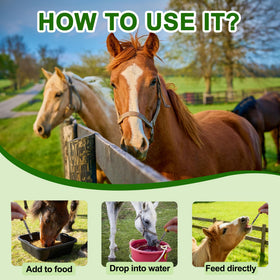 Bingbrofam Dewormer poultry-feeding scene highlights gentle administration.