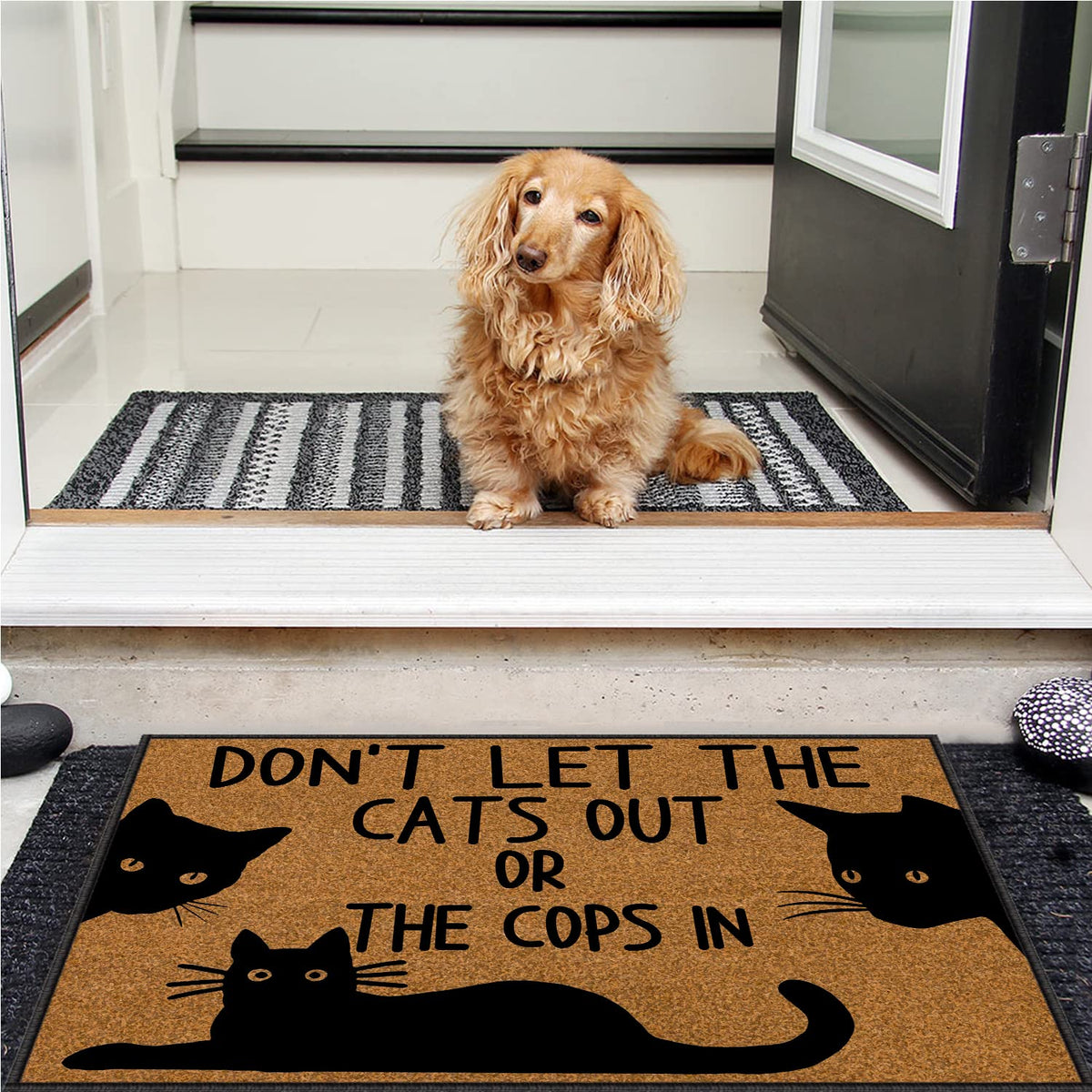 BinHang welcome mat dust trap closeup highlights durable fibers that capture debris from shoes