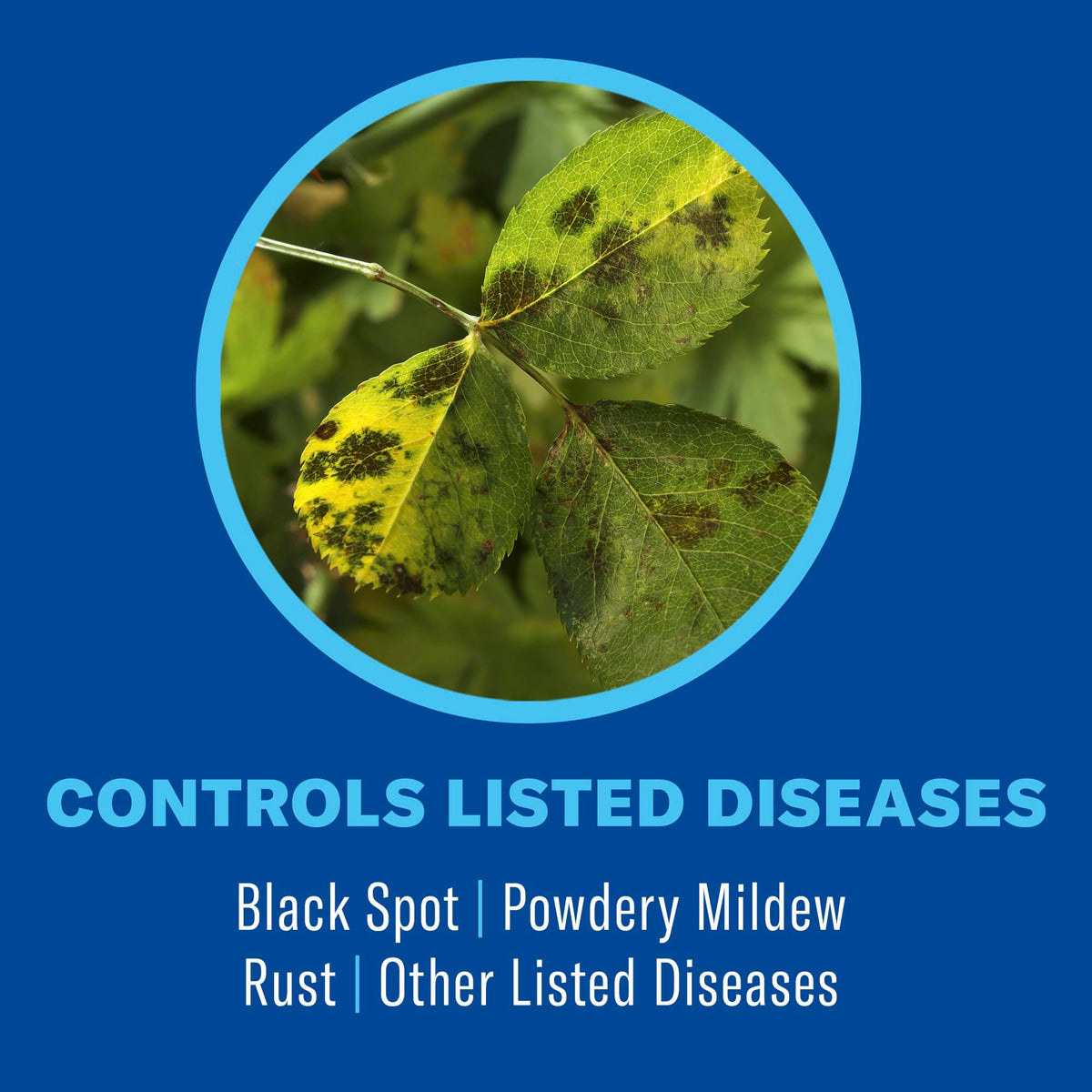 Close-up of BioAdvanced 3-in-1 on leaves showing protective barrier action