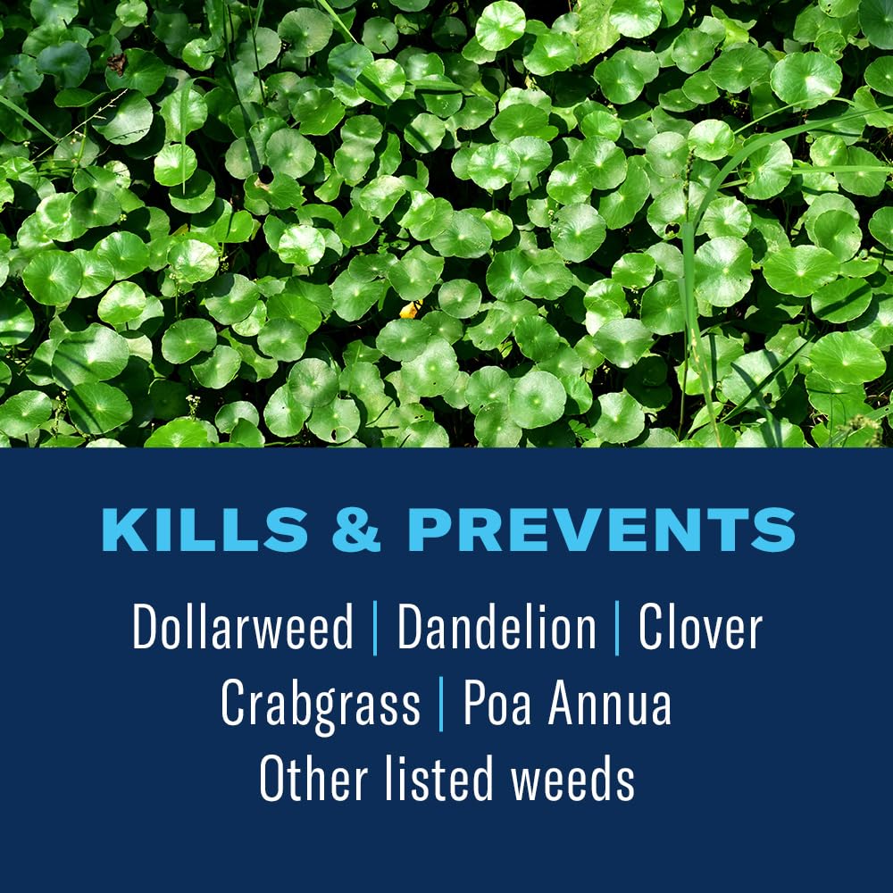 BioAdvanced 3-in-1 Weed & Feed spreader-ready granules on a southern lawn.