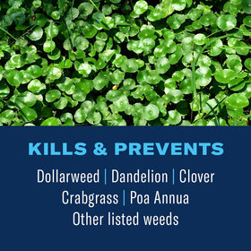 BioAdvanced 3-in-1 Weed & Feed spreader-ready granules on a southern lawn.