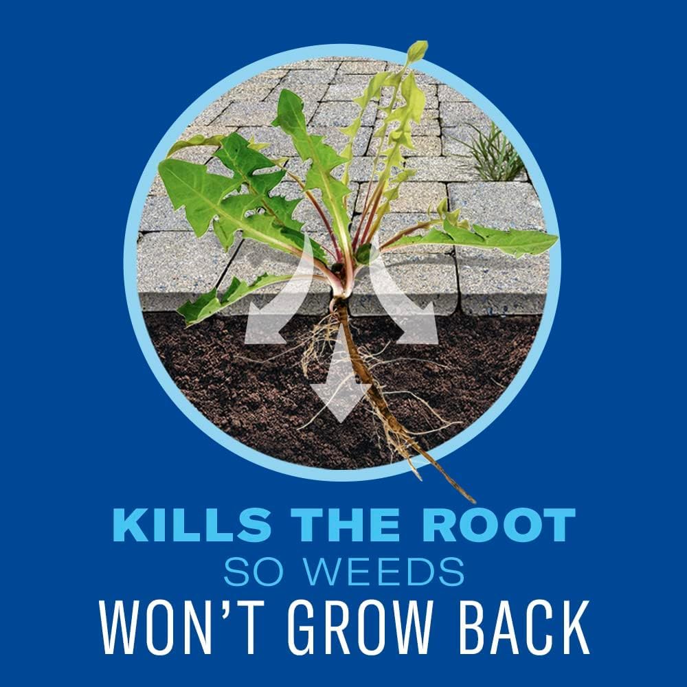 BioAdvanced 365 Weed & Grass Killer spray around a foundation to prevent regrowth.