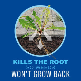 BioAdvanced 365 Weed & Grass Killer spray around a foundation to prevent regrowth.