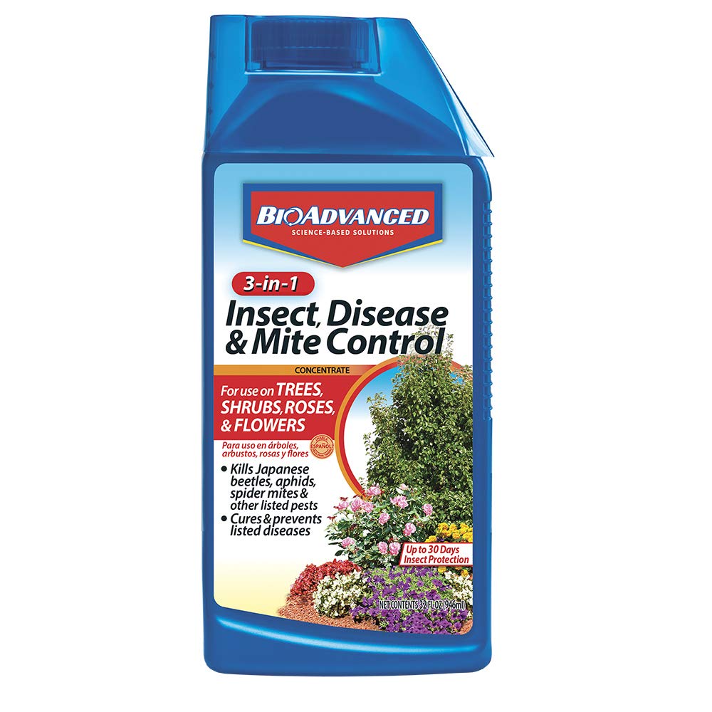 BioAdvanced 3-in-1 bottle ready for outdoor protection against pests and diseases.