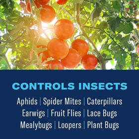 BioAdvanced 3-in-1 spray bottle demonstrates easy garden pest control.