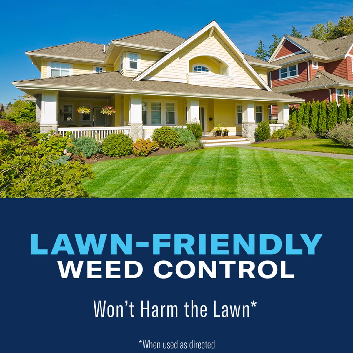 BioAdvanced All-In-One crabgrass-kill on mature weed at lawn edge