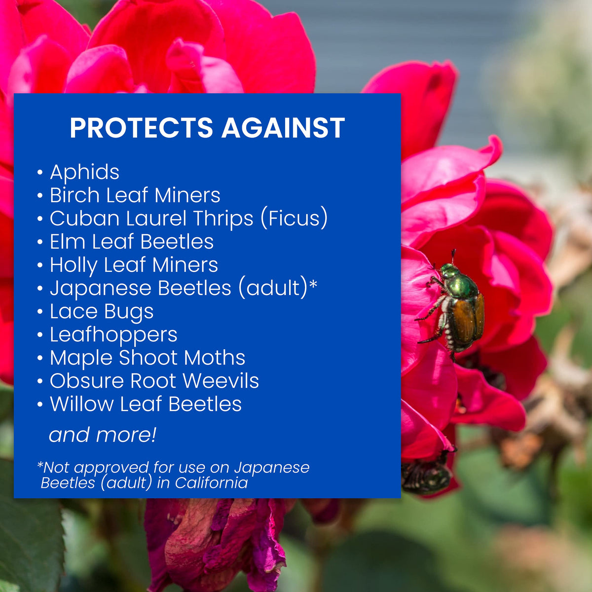 Label close-up highlighting fertilizer, insect and disease control