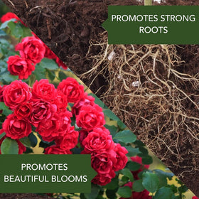 Granules poured into soil for root-fed protection