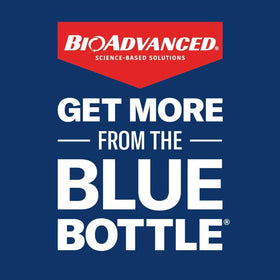 BioAdvanced All-In-One pest protection helps deter common garden insects.