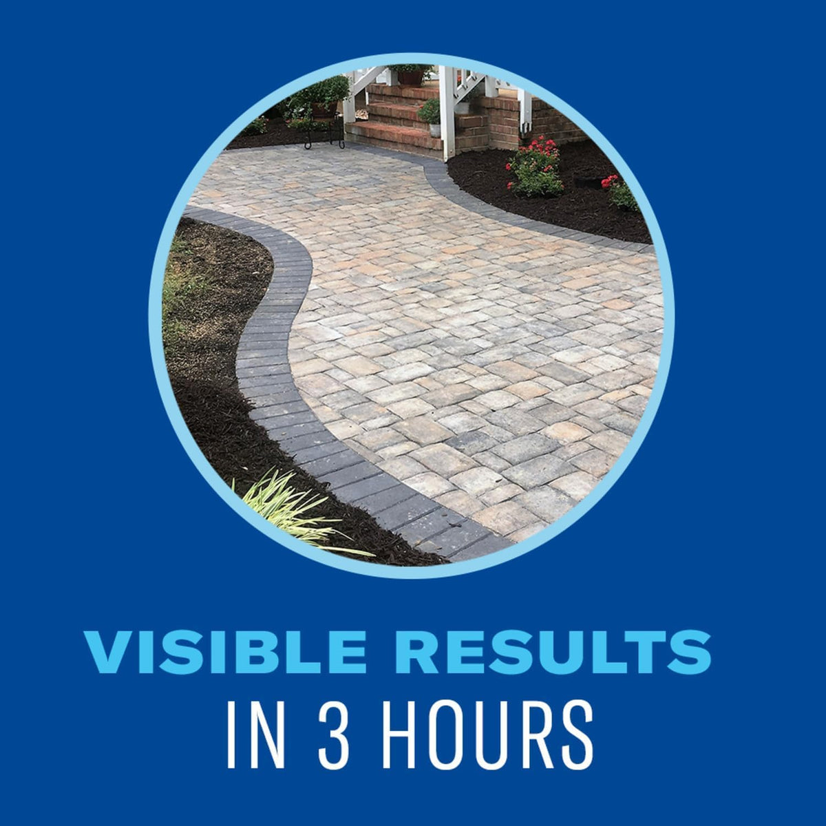 BioAdvanced concentrate tackles tough annual and perennial weeds along walkways.