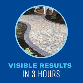 BioAdvanced concentrate tackles tough annual and perennial weeds along walkways.