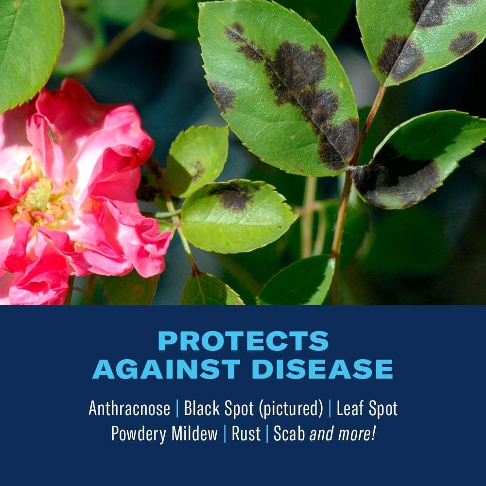 BioAdvanced targets aphids and spider mites on plants.