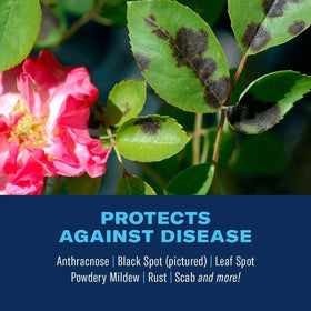BioAdvanced targets aphids and spider mites on plants.