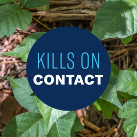 BioAdvanced Brush Killer Plus application in garden showing up to 4,000 sq ft coverage.