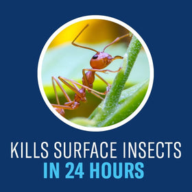 Outdoor space ready for protection against mosquitoes and ticks with BioAdvanced.