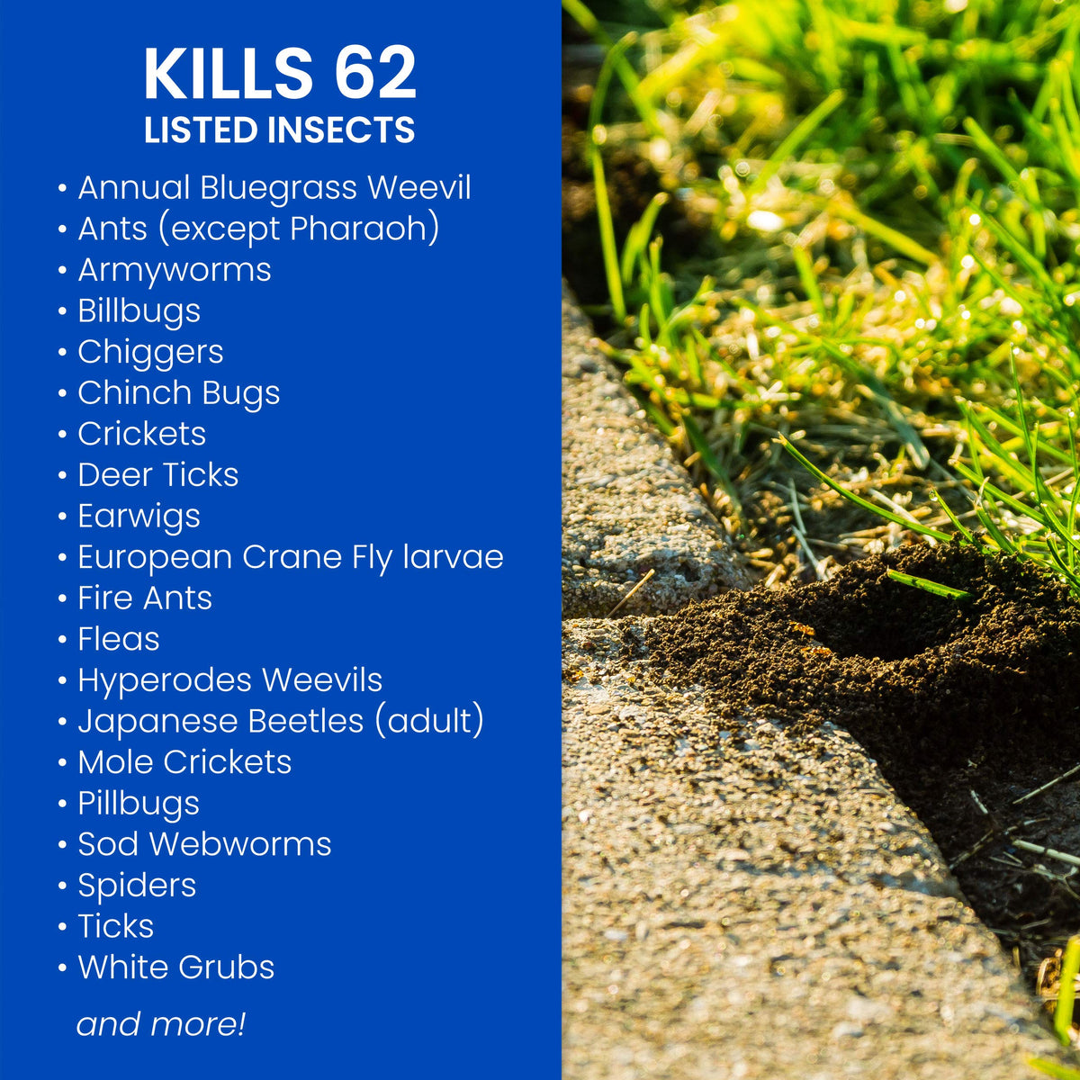 BioAdvanced Complete Insect Killer spray applying on lawn to target grubs and surface insects.