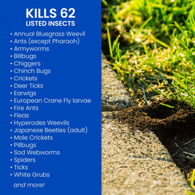 BioAdvanced Complete Insect Killer spray applying on lawn to target grubs and surface insects.