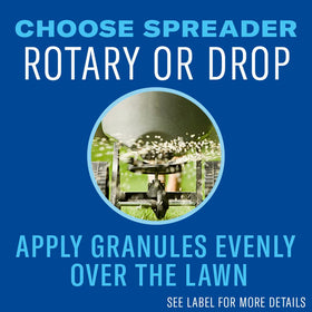 BioAdvanced weed targets crabgrass, dandelions, and clovers in a close-up.