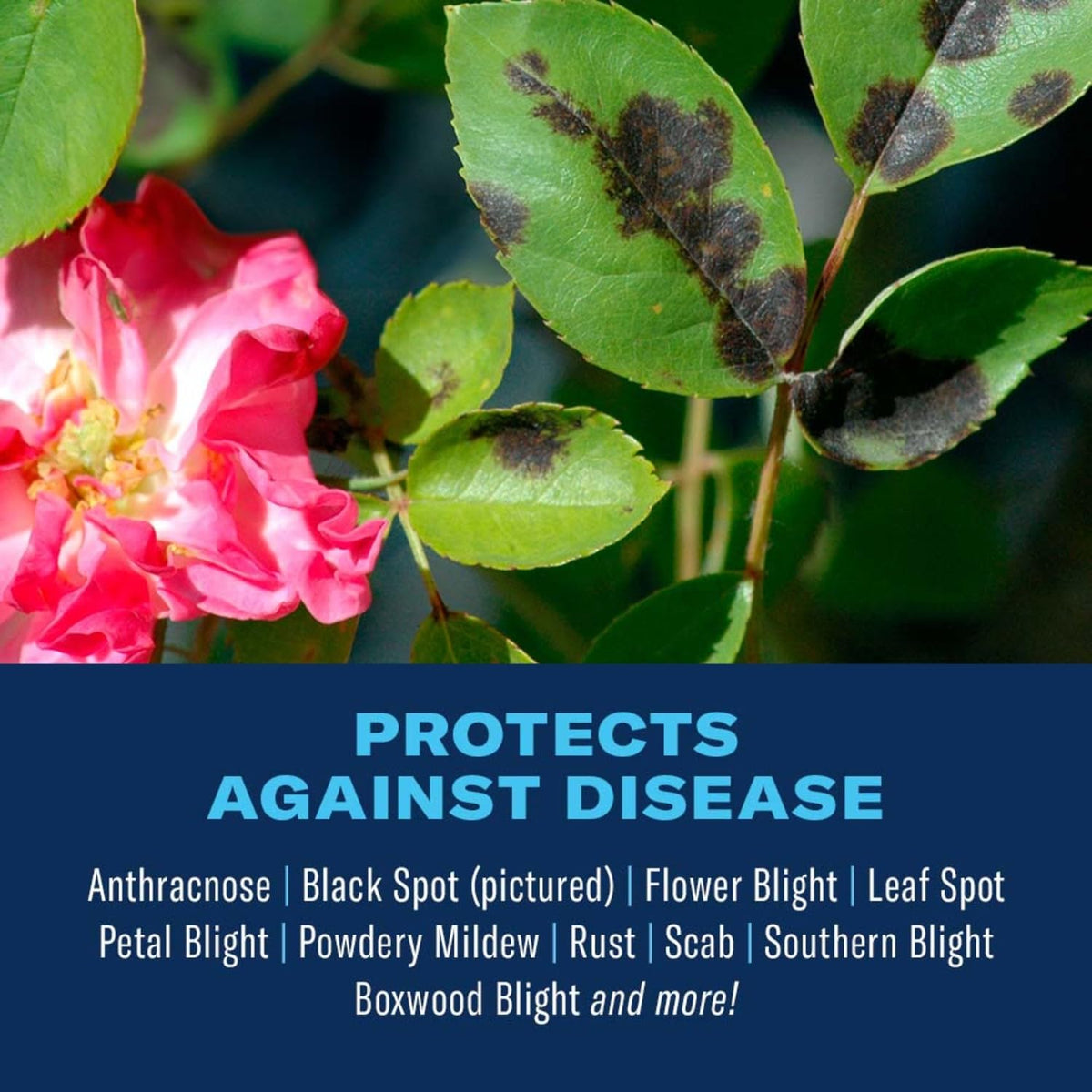 BioAdvanced spray on flowers showing easy pump-style application for garden coverage