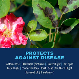 BioAdvanced spray on flowers showing easy pump-style application for garden coverage