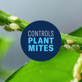 BioAdvanced fungicide component fights Black Spot and Powdery Mildew on leaves