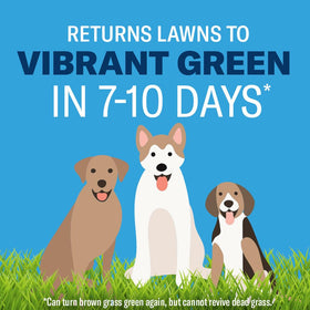 BioAdvanced Dog Spot Lawn Repair covers up to 4,000 sq ft