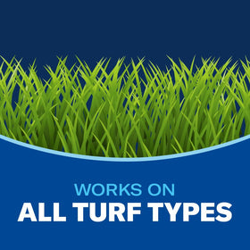 BioAdvanced Dog Spot Lawn Repair green lawn after treatment