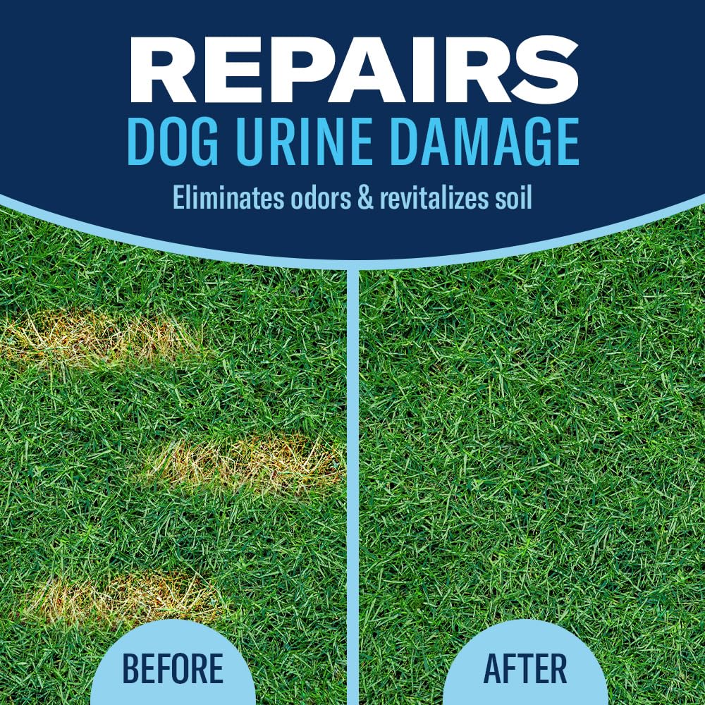 BioAdvanced Dog Spot Lawn Repair ready-to-spray bottle for easy application
