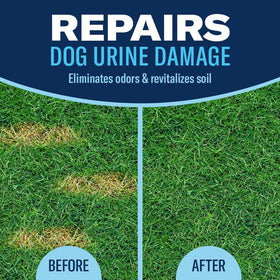 BioAdvanced Dog Spot Lawn Repair ready-to-spray bottle for easy application