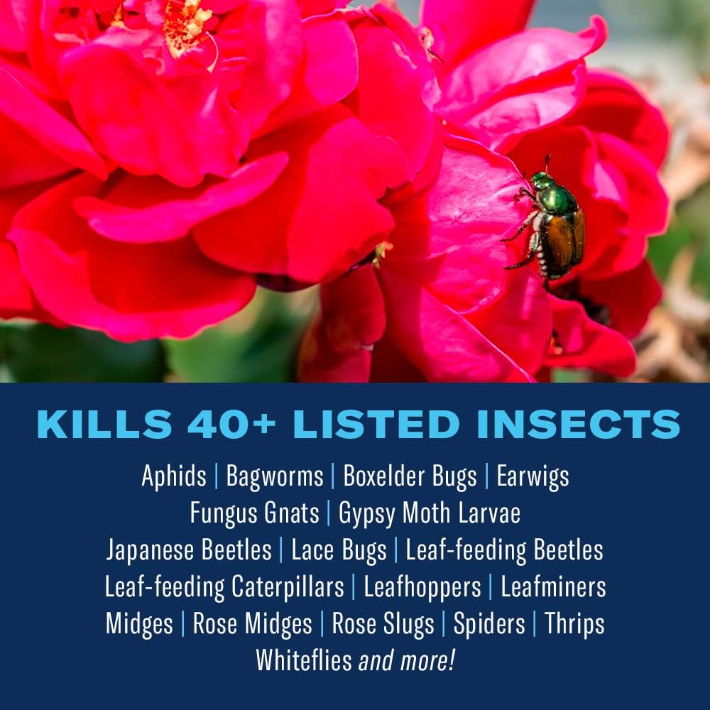 BioAdvanced Dual Action insect killer for outdoor use protecting flowers and ornamentals