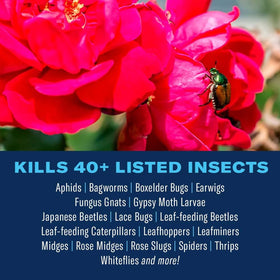 BioAdvanced Dual Action insect killer for outdoor use protecting flowers and ornamentals