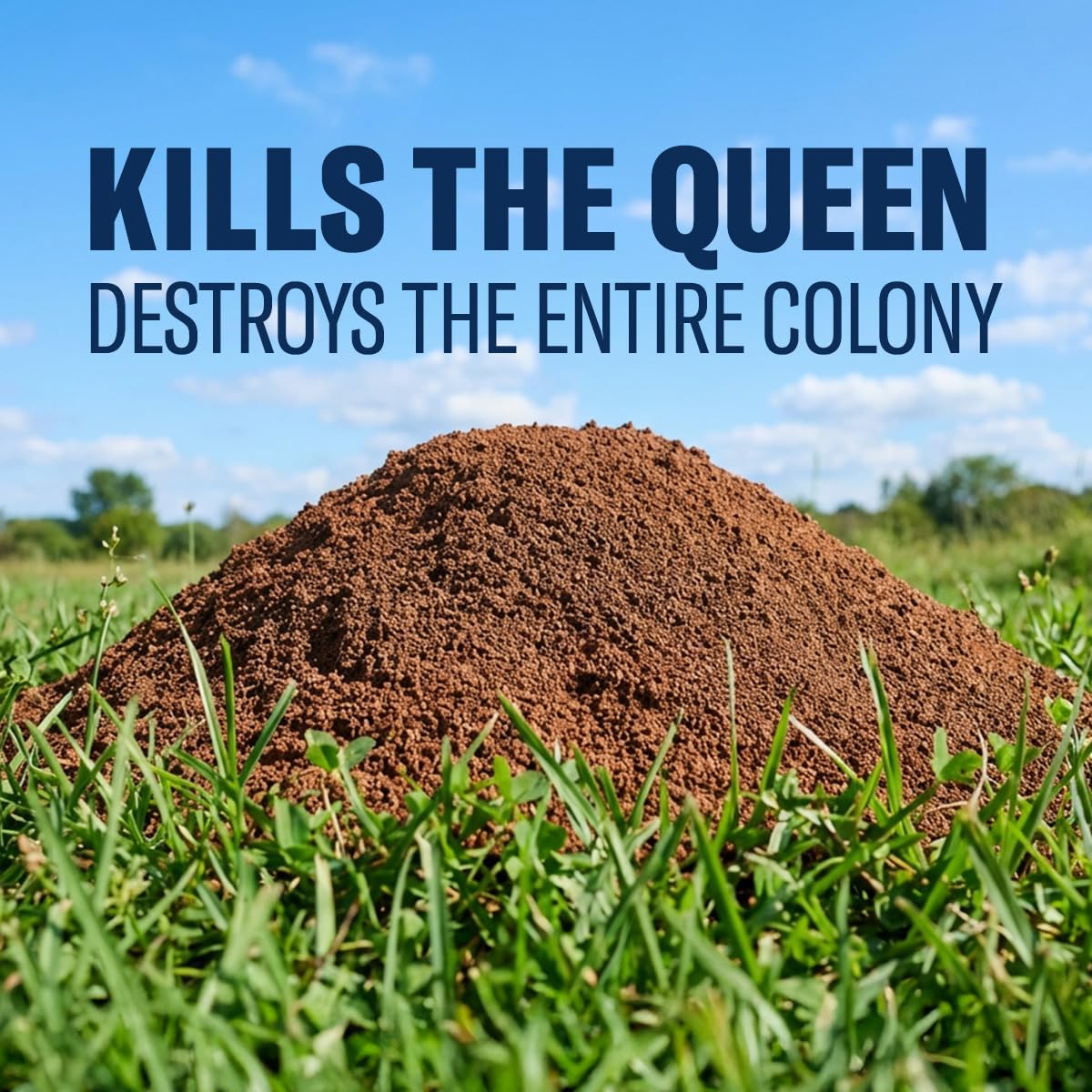 Easy shaker-top application lets you sprinkle directly over mounds with BioAdvanced.