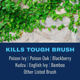 BioAdvanced brush killer targets bamboo for long-lasting yard control.