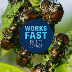 BioAdvanced fast-acting pest kill targets aphids and beetles on outdoor trees