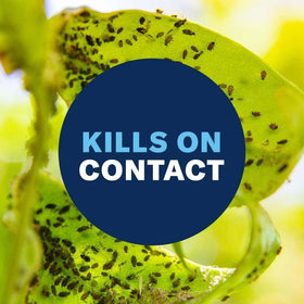 BioAdvanced flowers and herbs cared for with indoor use
