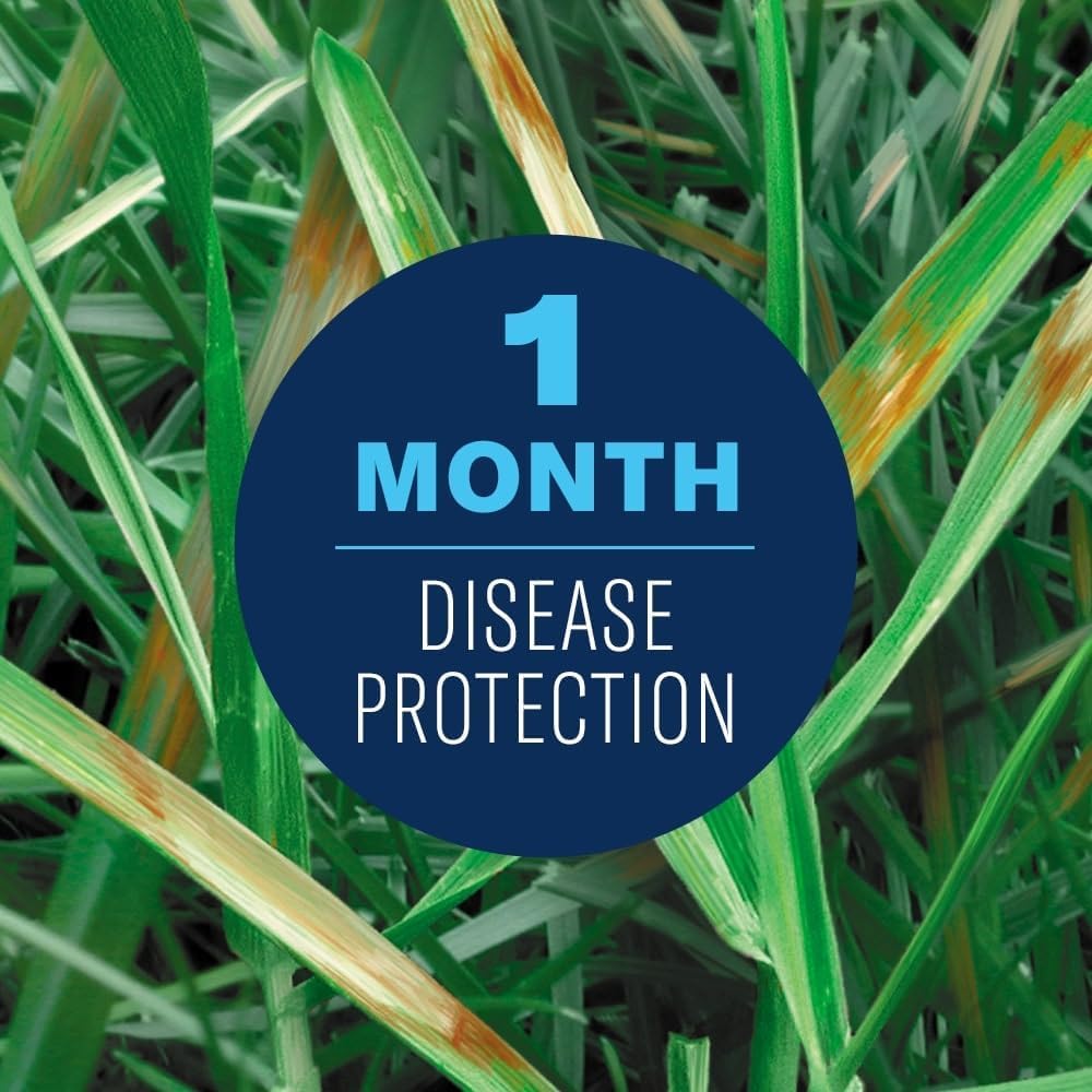 BioAdvanced Fungus Control applied to a healthy lawn showing even color.